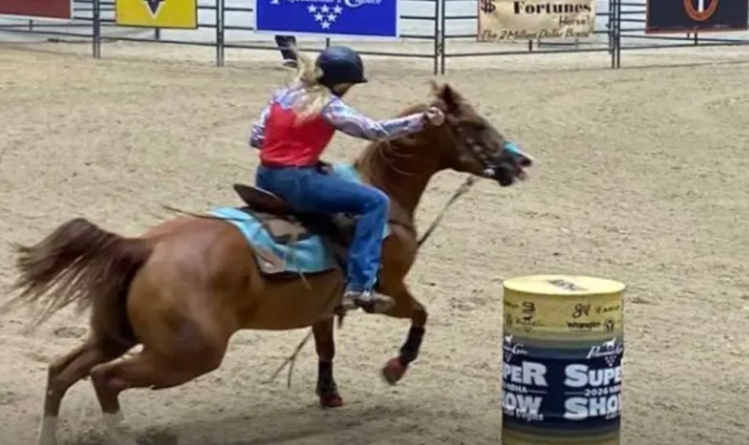 Emily Grace Las Vegas Incident: What Is Known About the NBHA Horse Stabbing Case